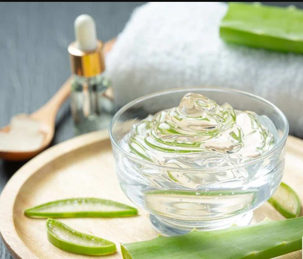 Aloe Vera: Nature's Cooling Comfort for Skin Care